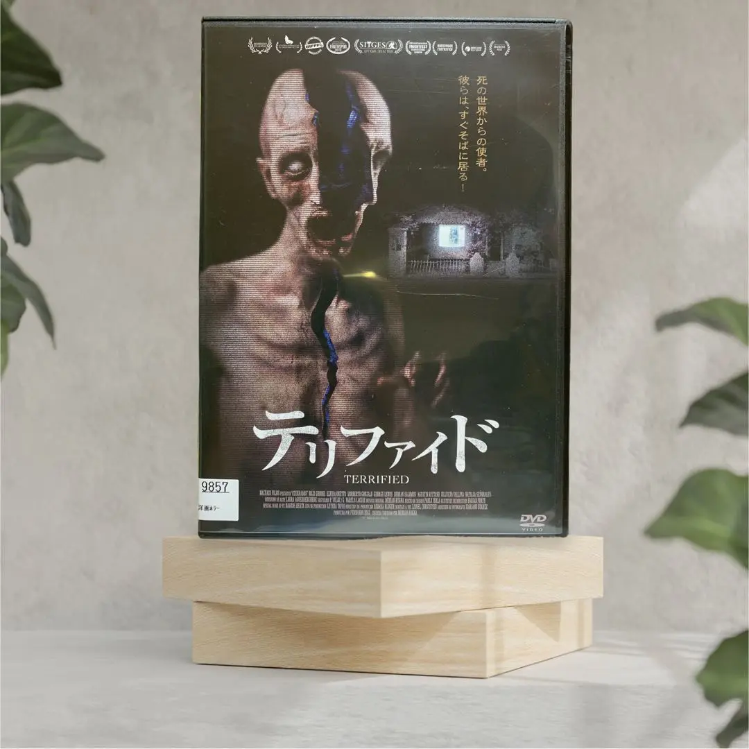 2025年最新】テリファイドの人気アイテム - メルカリ