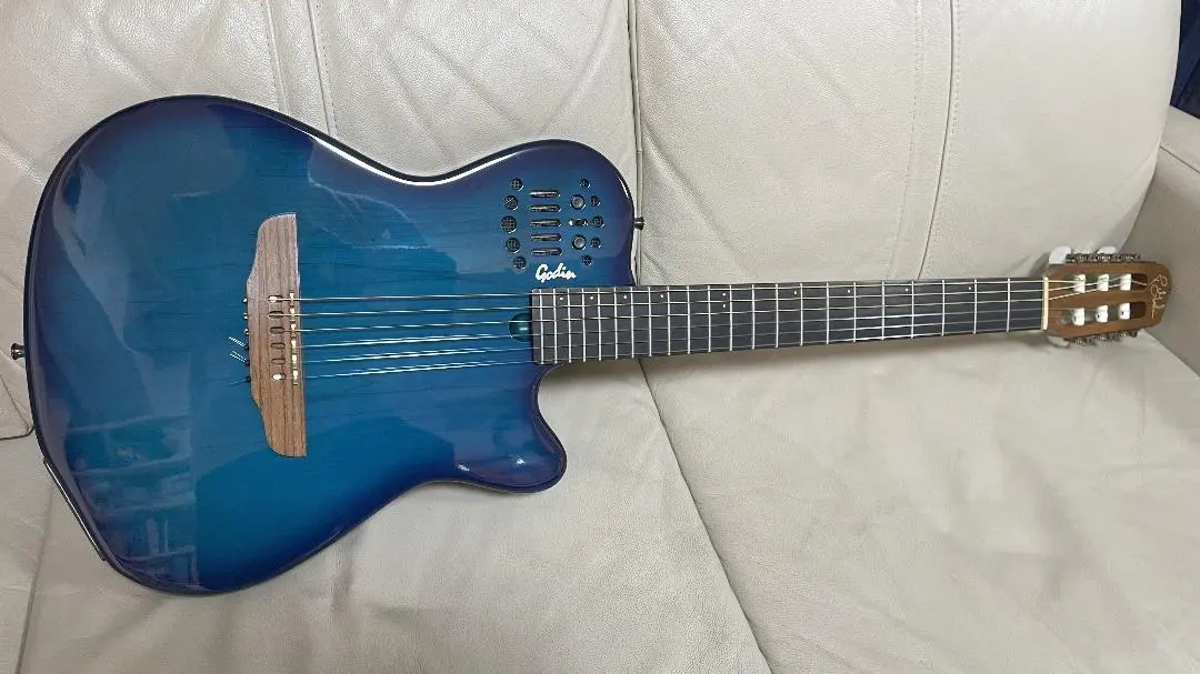 Godin ACSエレガット 25周年モデル 世界限定50本 デニムブルー 2025年最新】Godin エレガットの人気アイテム - メルカリ
