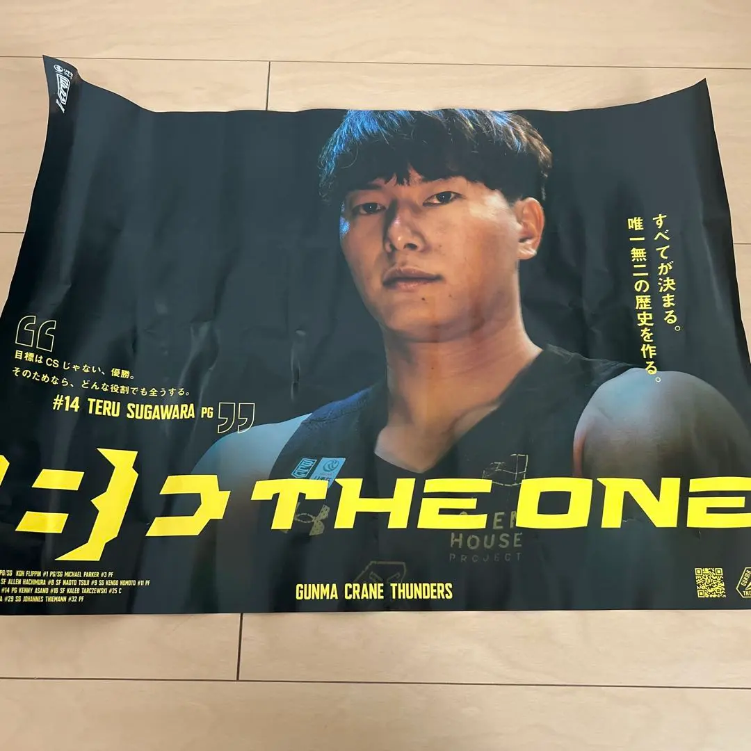 2025年最新】群馬クレインサンダーズ ポスターの人気アイテム
