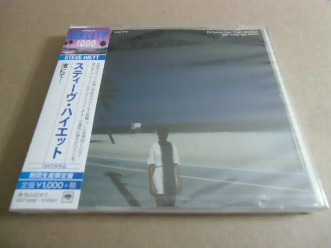 Steve Hiett 渚にて LP 極美品 洋楽