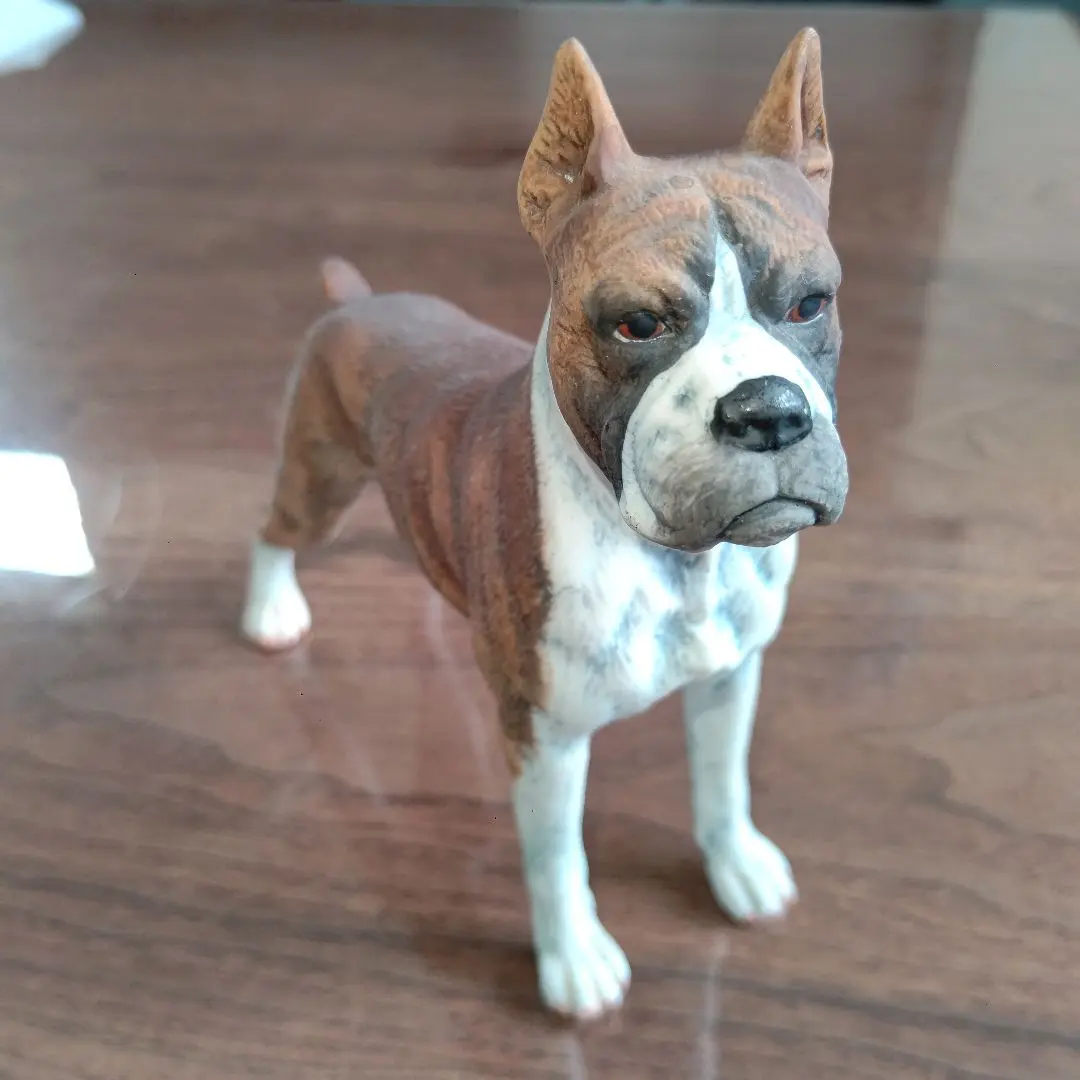 2025年最新】RICHFIELD 犬の人気アイテム - メルカリ