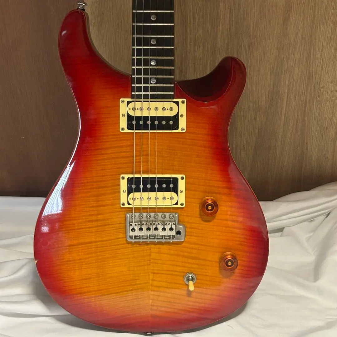 2025年最新】prs se 美品の人気アイテム - メルカリ