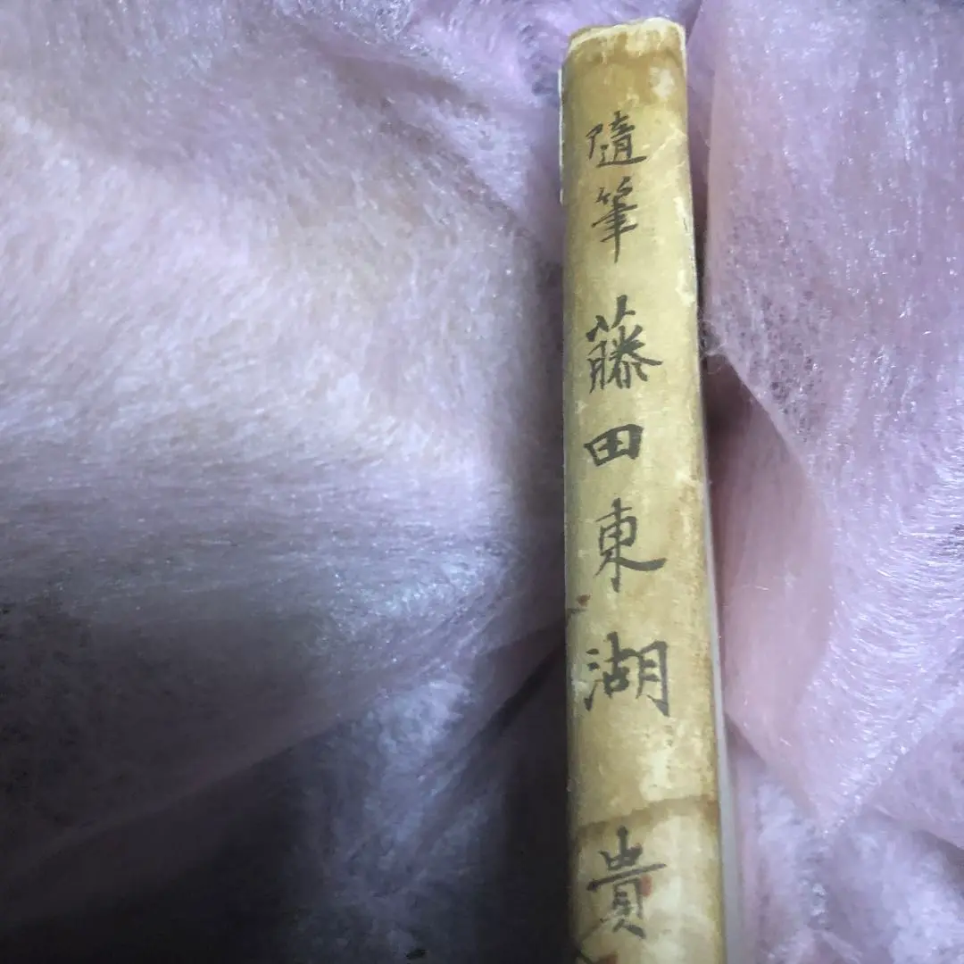 藤田東湖　肉筆の書！江戸時代の貴重な一点物 藤田東湖の生涯 (水戸の人物シリーズ 6) | 但野 正弘 |本 | 通販