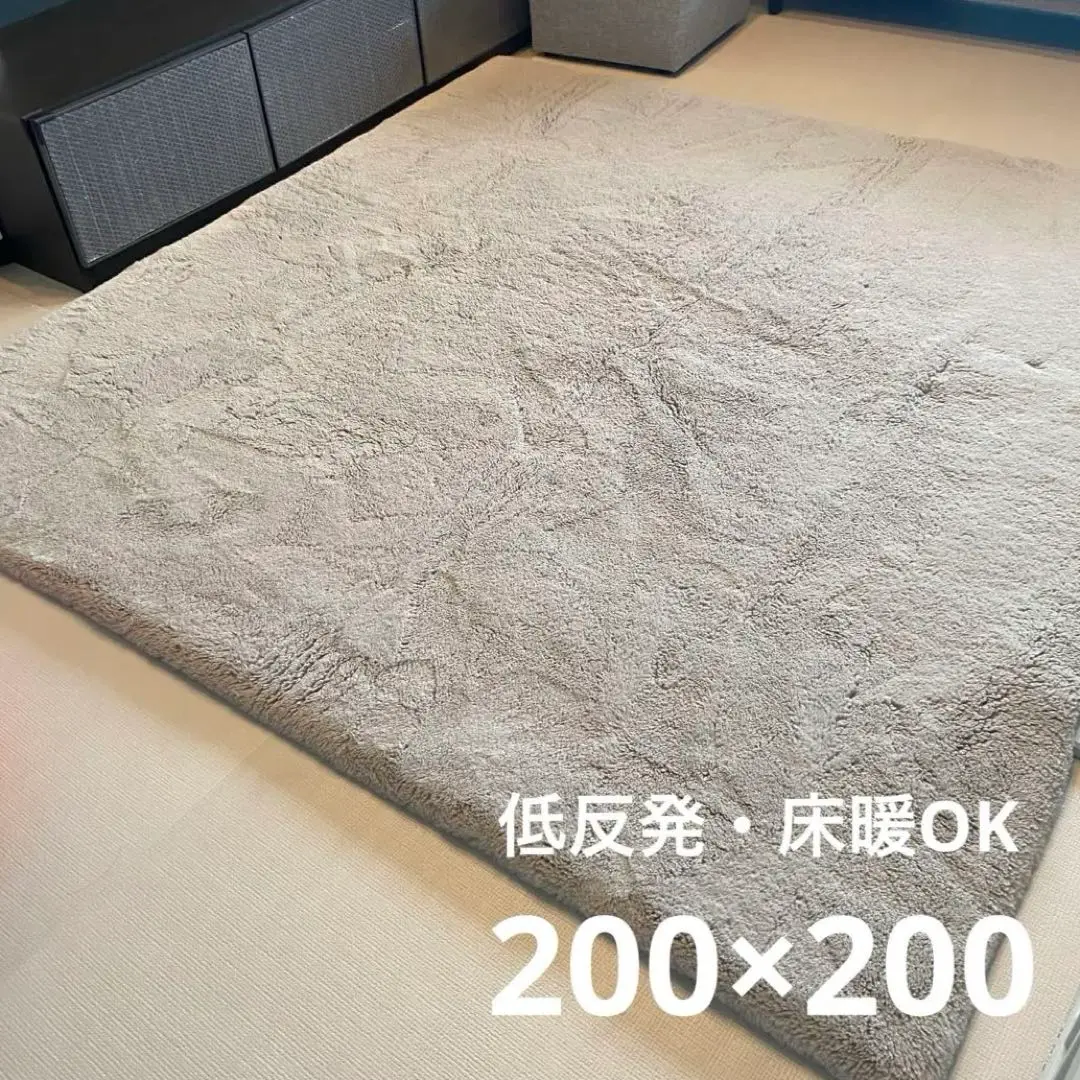 2025年最新】Francfranc テイスト：シンプル・ベーシック ラグ