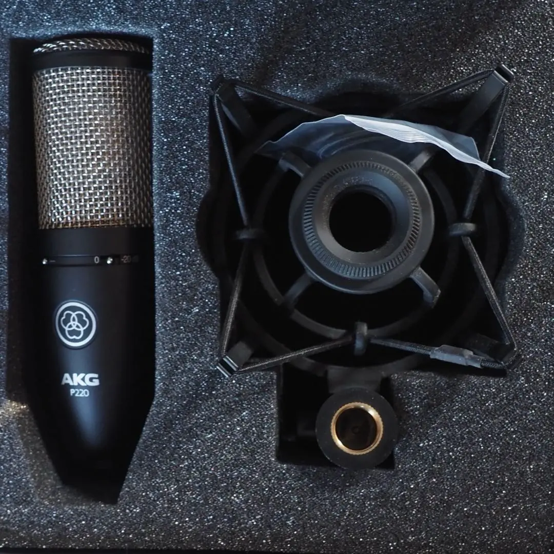 2025年最新】akg p220の人気アイテム - メルカリ