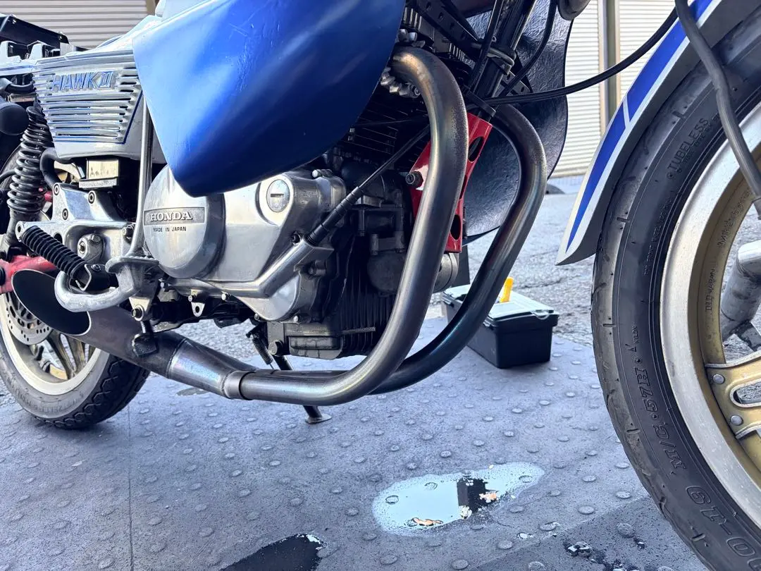 2025年最新】ヤシメガの人気アイテム - メルカリ