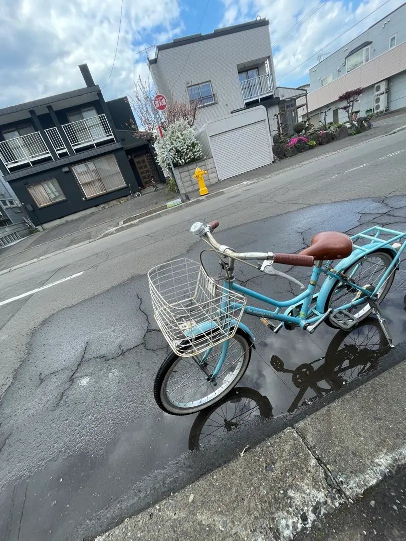 札幌市近郊の方限定】 子供用自転車 20インチ ゴールド