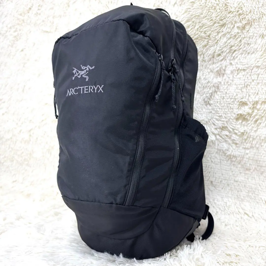 【未使用品】マンティス250 III 2本セット 2025年最新】アークテリクス マンティス2 旧型の人気アイテム