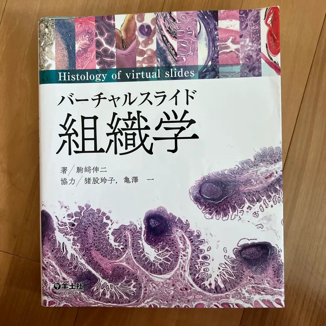 【新品美品　お値下げ可能　コード未使用】バーチャルスライド 組織学 新品美品お値下げ可能コード未使用】バーチャルスライド 組織学