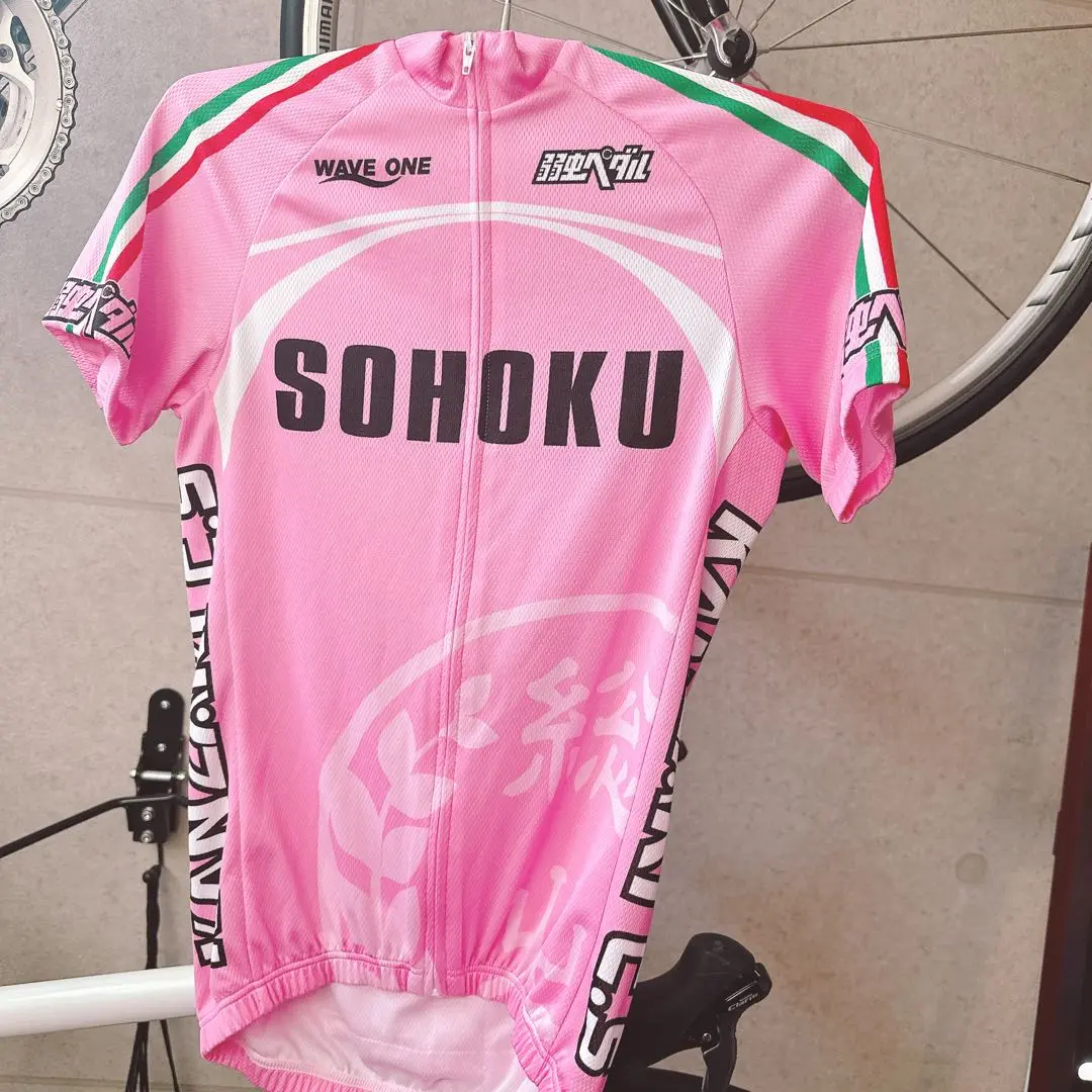 TEAMsky マリアローザ(2018)レプリカジャージ（カステリ正規品