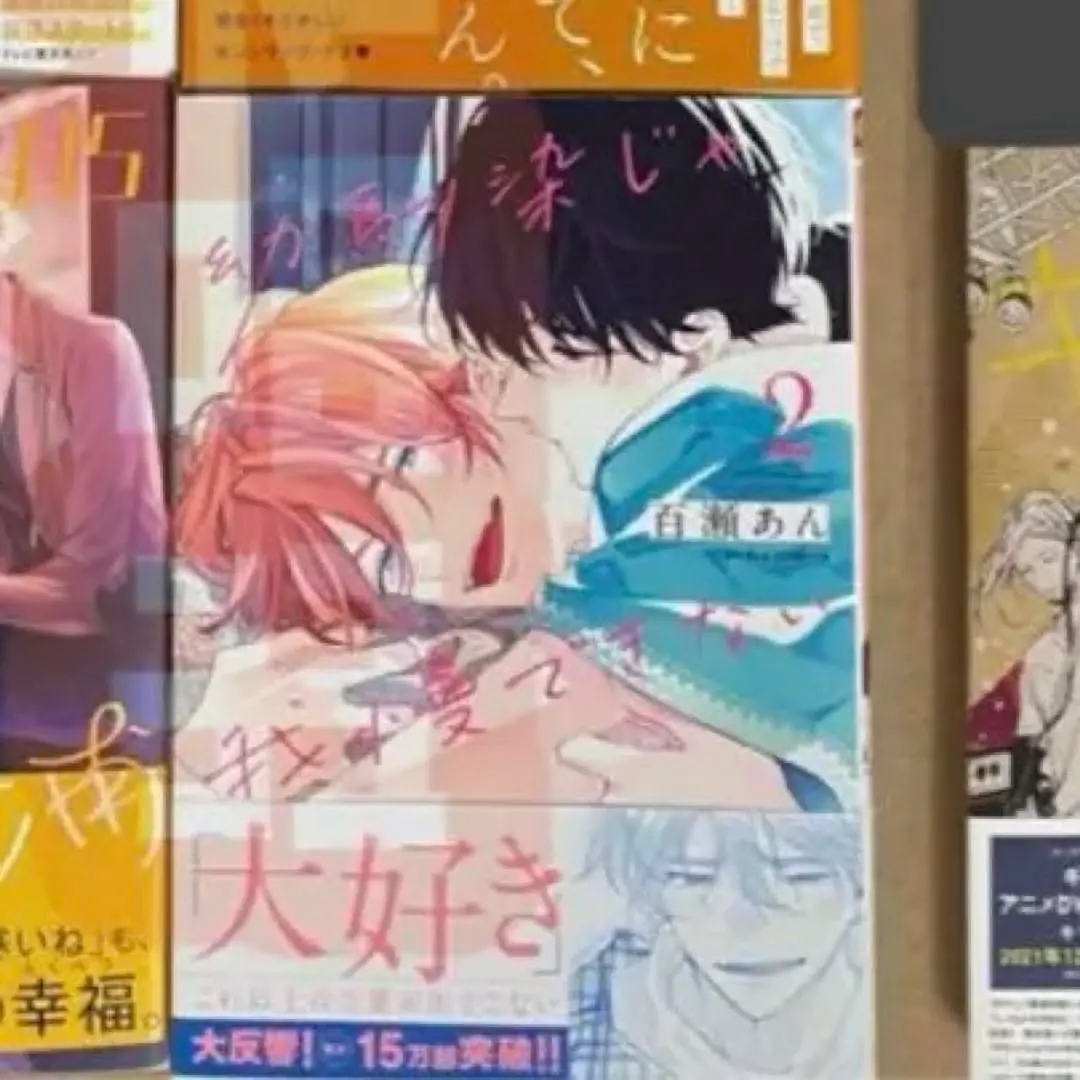 BL☆⑤ まとめ売り、バラ売り17冊セット【変更有り】