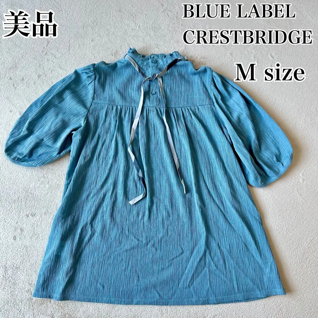 BLUE LABEL CRESTBRIDGE◆半袖カットソー/38/コットン/WHT/無地/55P09-558-02 BLUE LABEL CRESTBRIDGE 半袖Tシャツ 38 - メルカリ