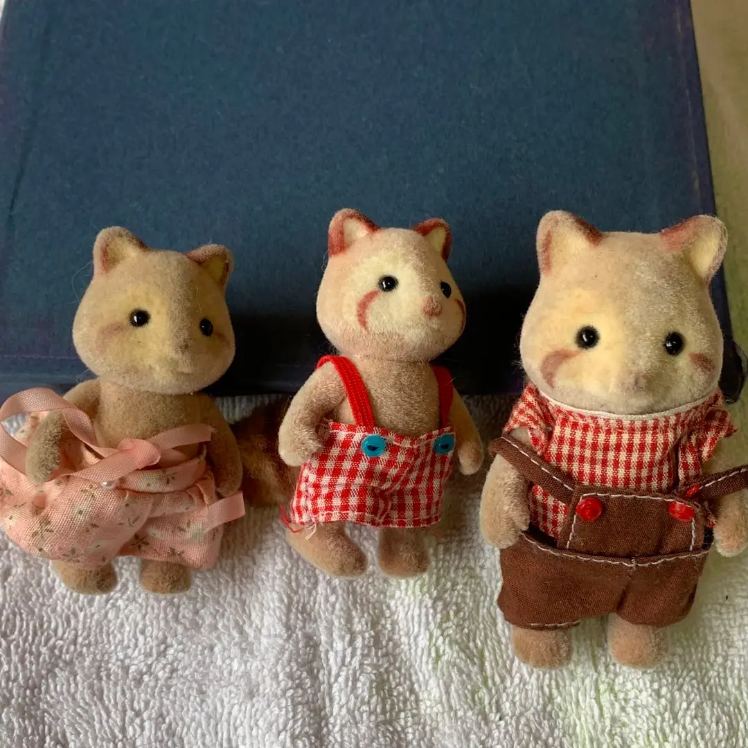 アライグマファミリー あらいぐま シルバニアファミリー