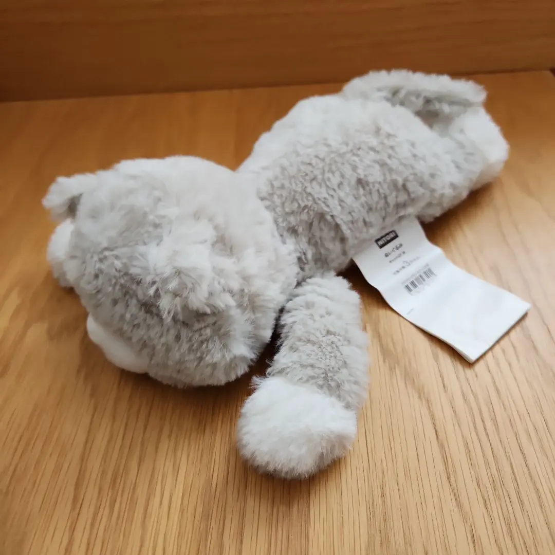 順次値下げ中❗️ニトリ 猫 ぬいぐるみ 5匹セット 新品 ニトリ Nクール ぬいぐるみ 猫 ねこ L - メルカリ