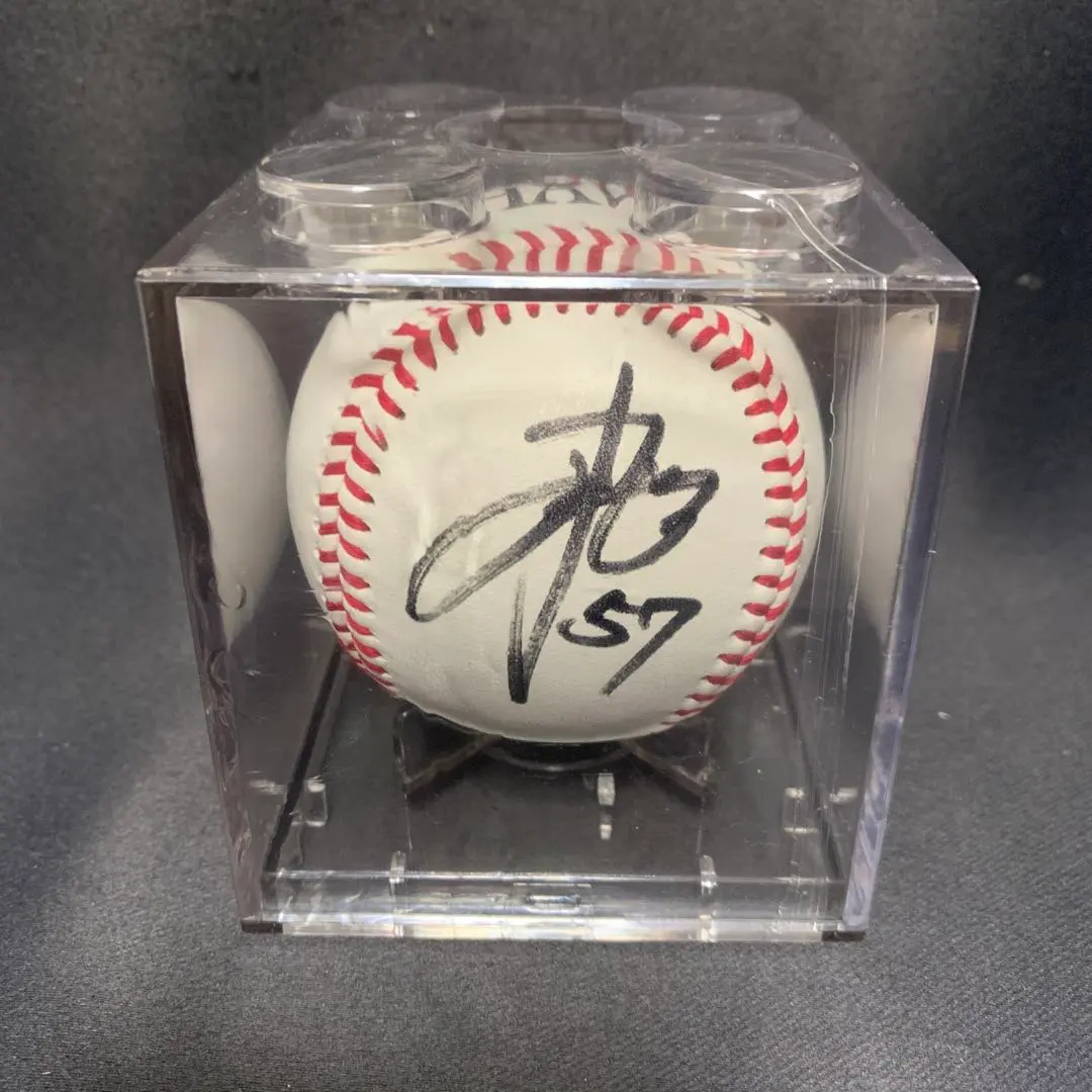 2025年最新】サファテ サインの人気アイテム - メルカリ