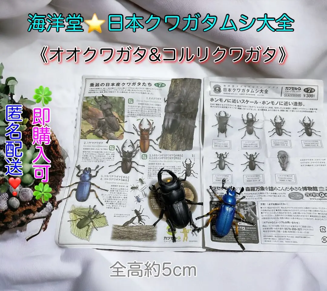 2025年最新】カプセルQミュージアム 日本クワガタムシ大全 の