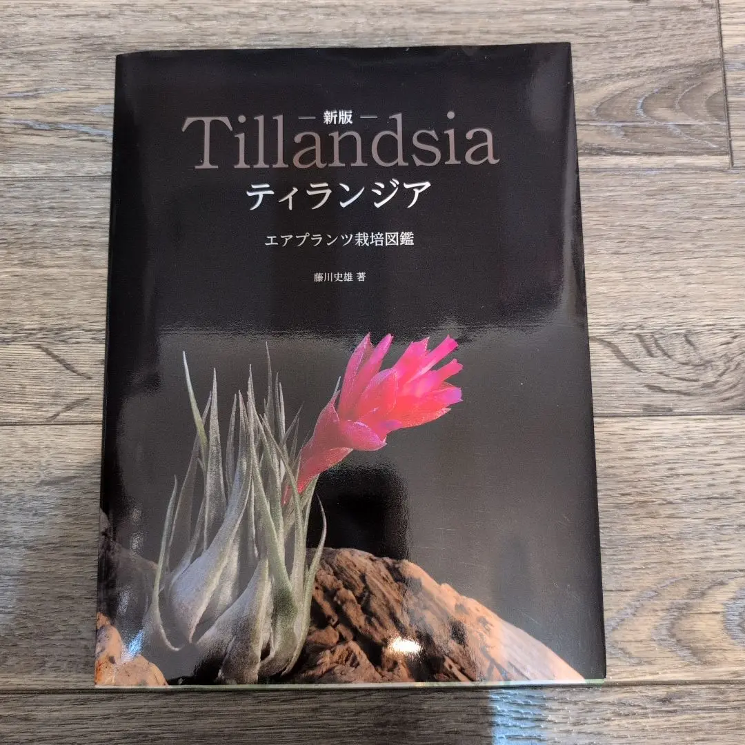 セール！ 洋書『ベネズエラの山岳植物、アンデスとテプイ、ブロメリア』植物図鑑 2025年最新】ブロメリア図鑑の人気アイテム - メルカリ