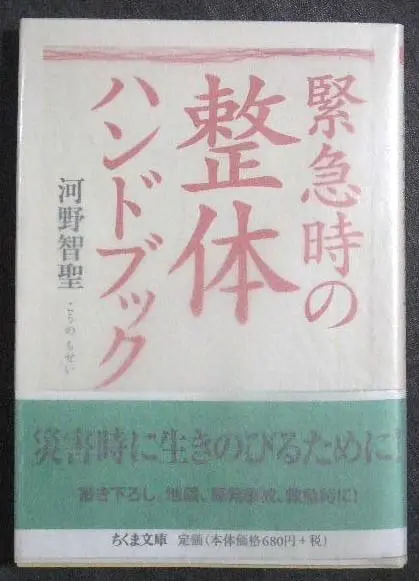 DVD 河野智聖 武術と呼吸