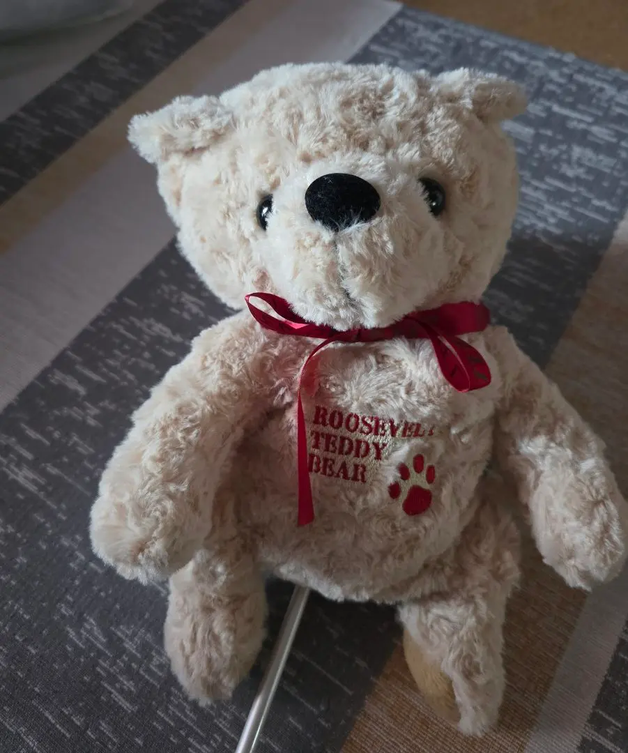 ☆美品☆RooseVelt Teddy BearRTB-L2レディース セット 楽天市場】ルーズベルト テディベア レディース ゴルフセット 10