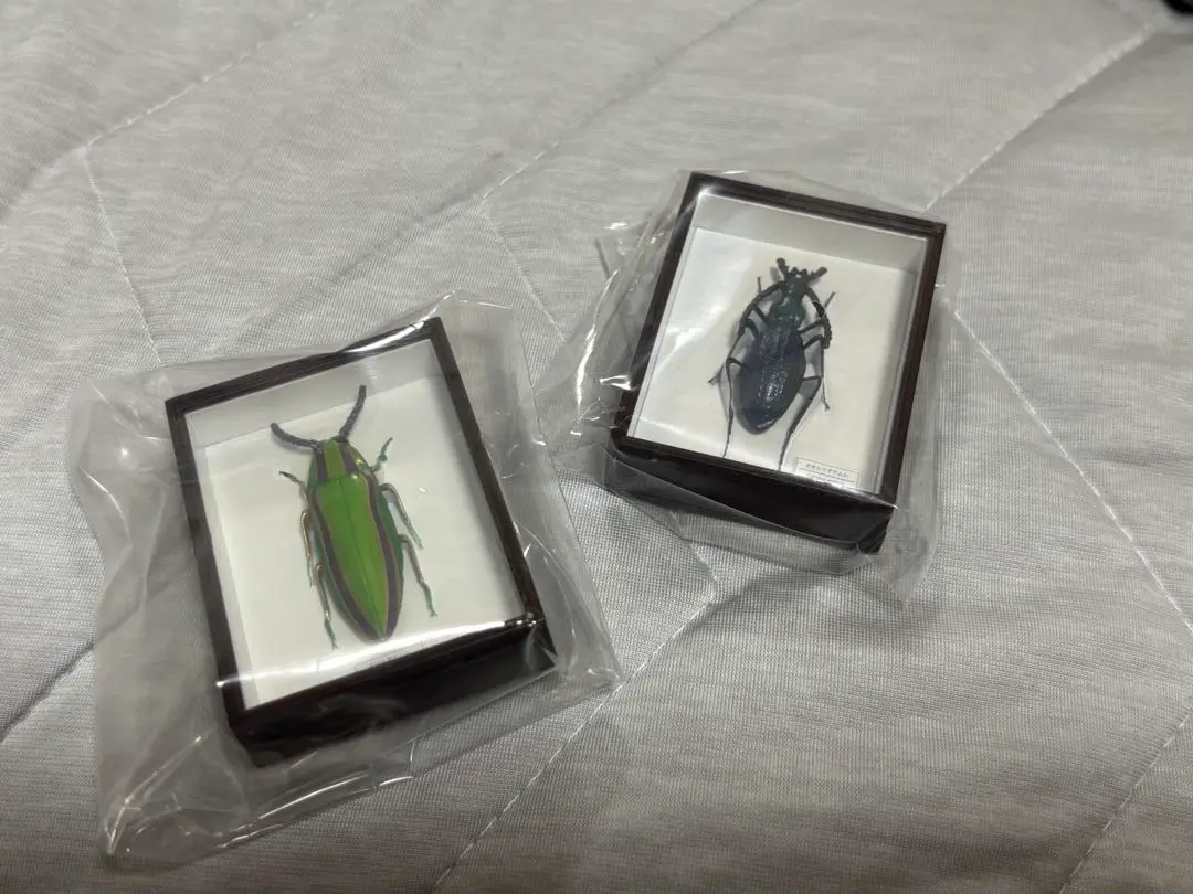 ラオス切手 甲虫 昆虫 王国 1968 全5種 NH オオルリ玉虫 ລາວラーオ 2025年最新】オオルリタマムシの人気アイテム - メルカリ