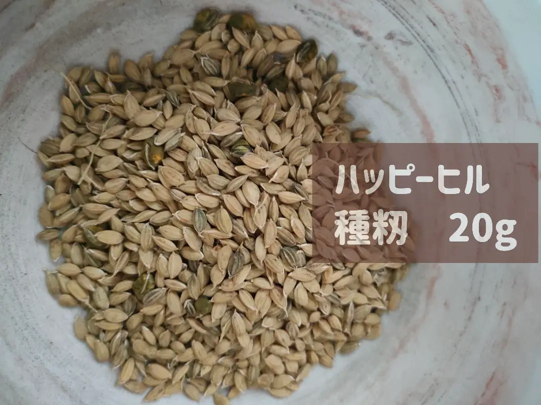 2025年最新】陸稲 ハッピーヒルの人気アイテム - メルカリ