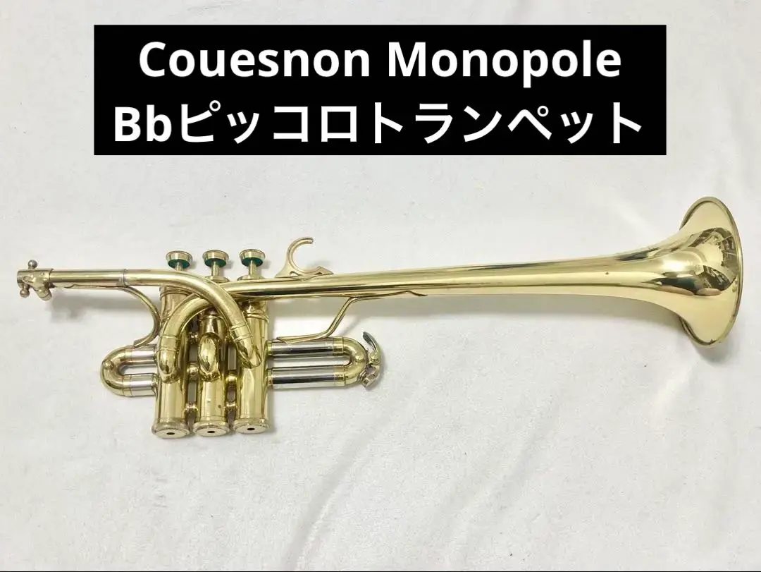 2025年最新】SELMER トランペットの人気アイテム - メルカリ