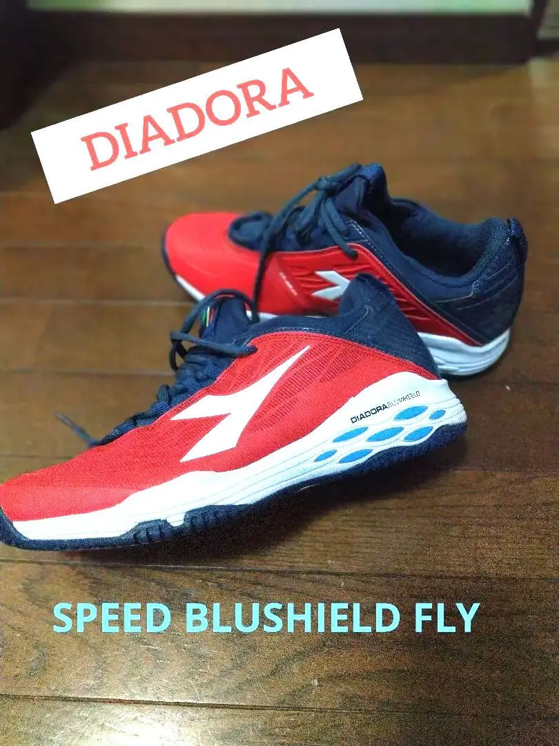 【好評にて期間延長】 2025年最新】DIADORA 対象：大人向け シューズ(男性用)の人気 ウエイトトレーニング