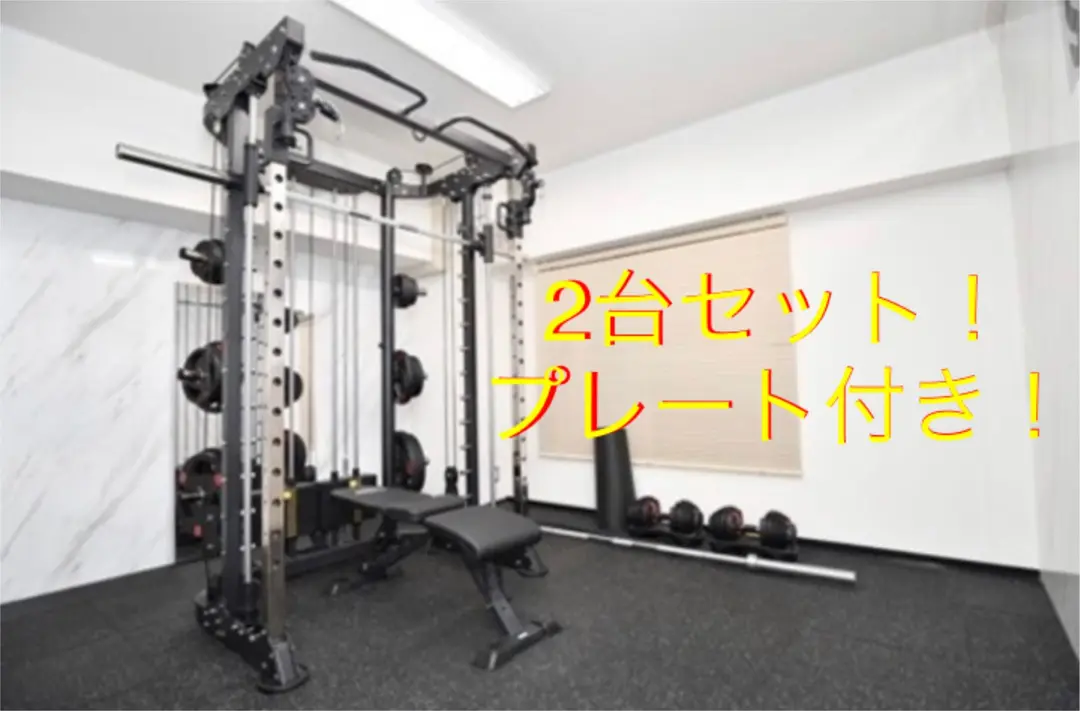 パワーラック　AnyAgefitness 3in1 スミスマシーン パワーラック AnyAgefitness 3in1 スミスマシーン - ウエイト