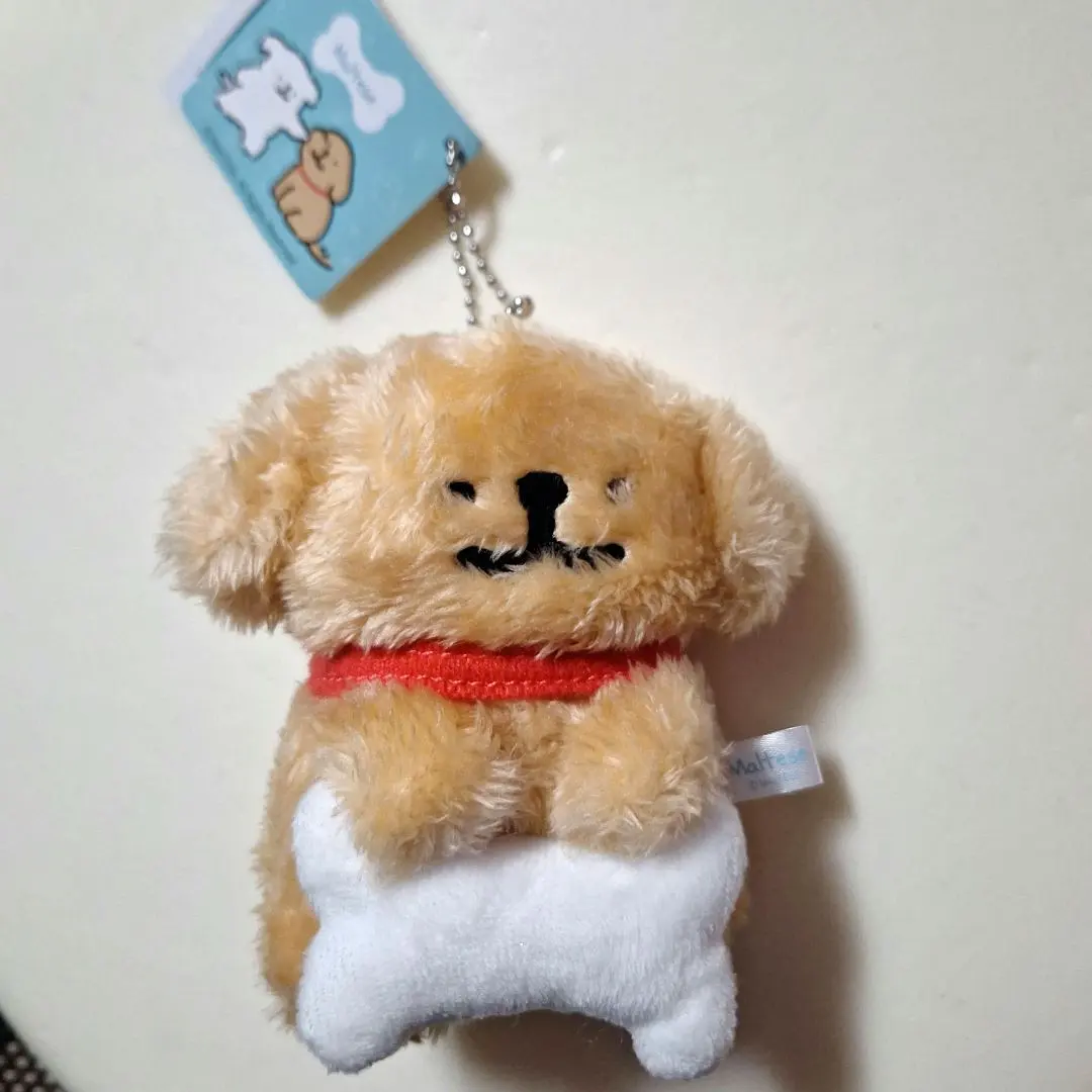 Thumbnail of Molcheese Plushie, Mory Limited Edition
