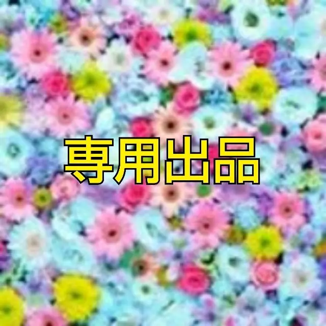【ヘラルド】シルバニア 廃盤 レア ☆ 海外版 アナグマの赤ちゃん ヘラルド様専用】シルバニア 廃盤 レア ☆ 海外版 アナグマの