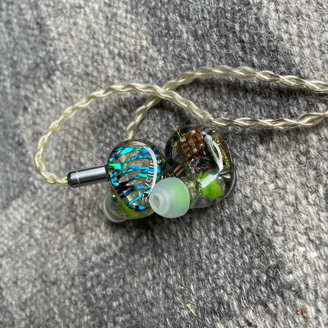 【極レア】Vision Ears VE5 カスタムイヤホン おまけ付 カスタムIEM Vision Ears VE5 購入1ヶ月後のレビュー | The