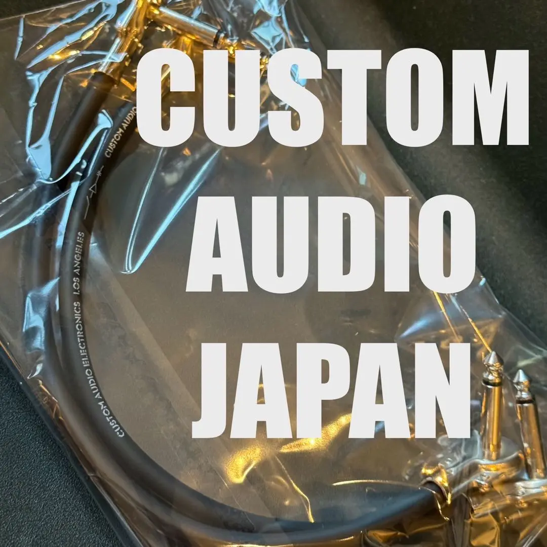 CUSTOM AUDIO ELECTRONICS パッチケーブル 10本セット 2025年最新】カスタムオーディオジャパン パッチケーブルの人気