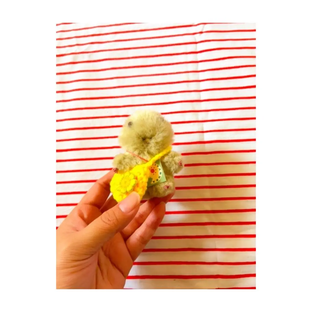 北村日乃 くま ぬいぐるみ きたむらかの クマ オレンジベージュ テディベア 北村日乃 くま ぬいぐるみ きたむらかの クマ オレンジベージュ