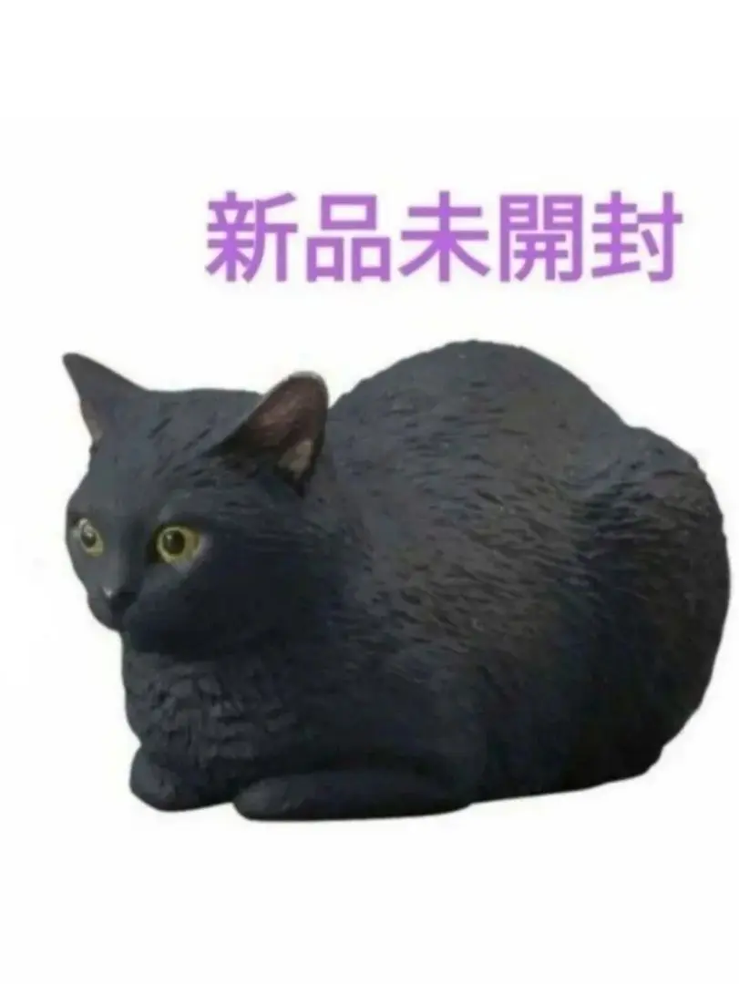 (未使用･未開封品)　ねこぶそう 並盛り(BOX) 色分け済みプラモデル bt0tq1u Amazon | ねこぶそう 並盛り(BOX) 色分け済みプラモデル
