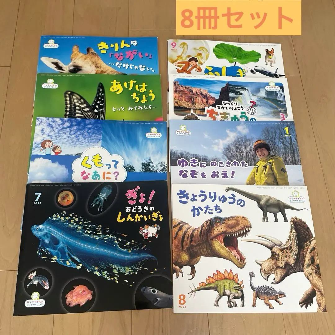学習絵本 77冊まとめ売り かがくのとも/サンチャイルド/ビッグ