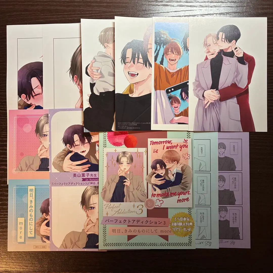 Thumbnail of Perfect Addiction 3: Make It Yours Tomorrow - Booklet / Leaflet B