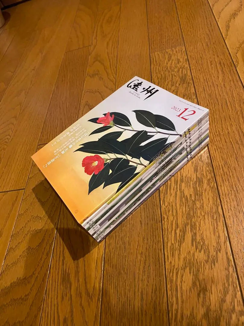 【551あるときーさま専用出品】茶道雑誌　月刊『遠州』バックナンバー 2025年最新】月刊遠州の人気アイテム - メルカリ