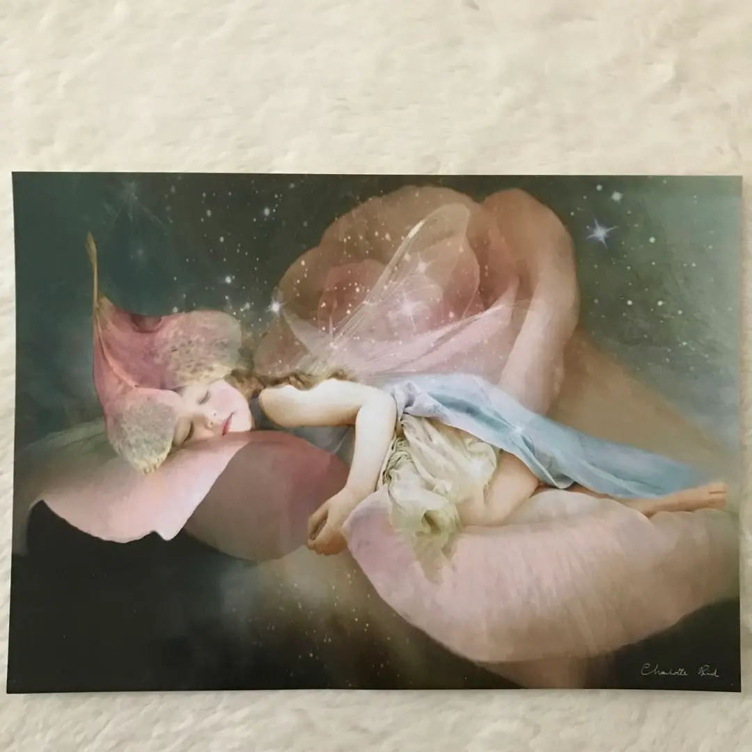 ★専用★Charlotte Bird シャーロットバード　絵画　額縁 cbgf109ivory.jpg