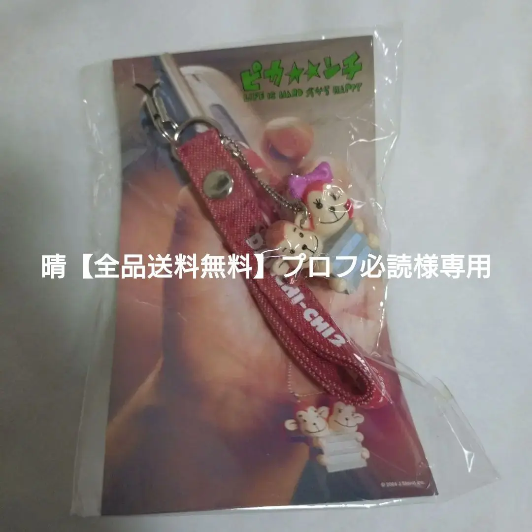 激レア嵐ピカンチだんちっちストラップセット 激レア嵐ピカンチだんちっちストラップセット