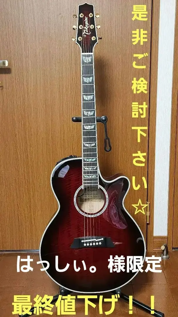 2025年最新】takamine 種類：アーチトップ アコースティック