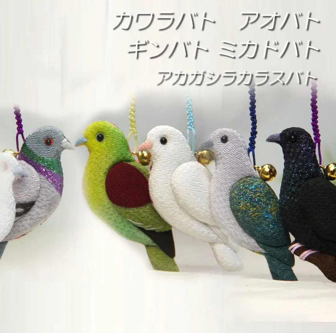 カワラバト　アオバト　ギンバト　ミカドバト　アカガシラカラスバト カワラバト アオバト ギンバト ミカドバト アカガシラカラスバト