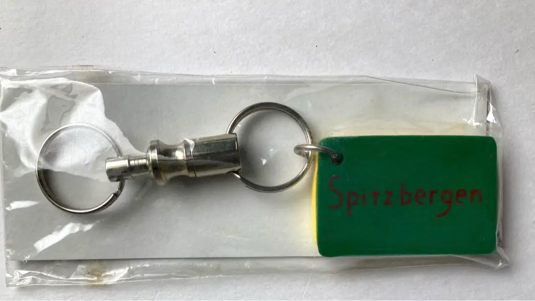 2025年最新】スピッツベルゲン キーホルダーの人気アイテム