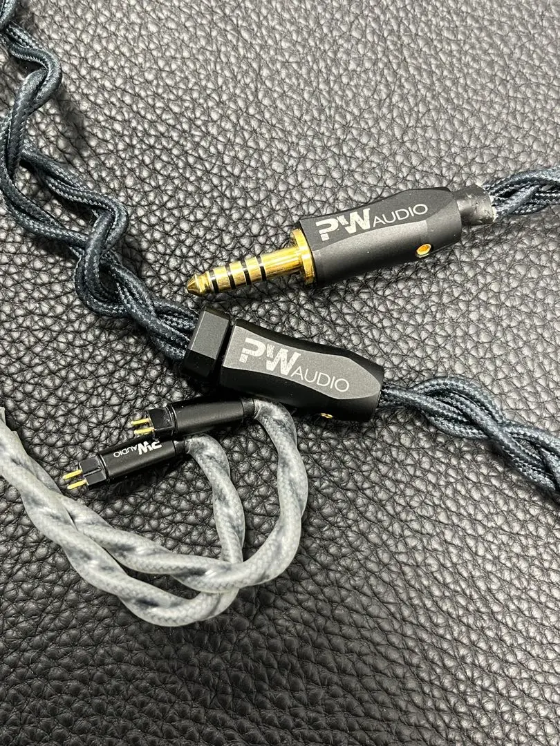正規激安 PW QBT処理済 Sagittarius Audio イヤホン