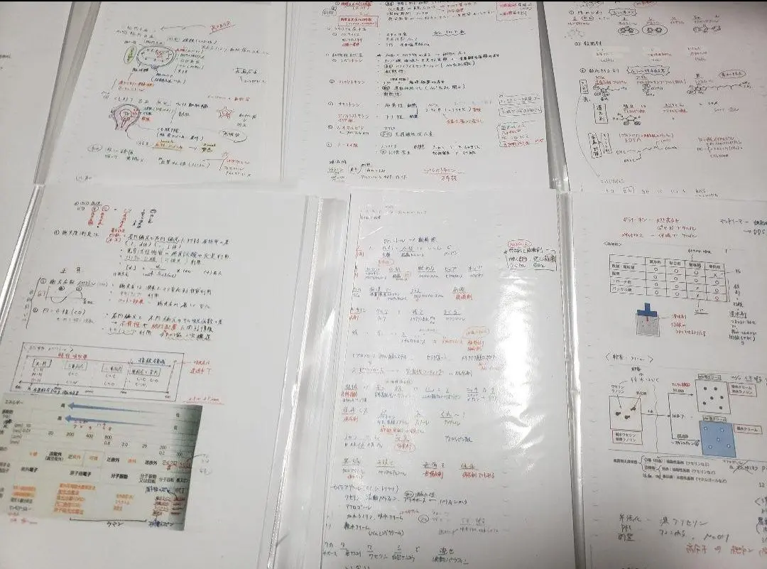 2025年最新】薬学部 まとめノートの人気アイテム - メルカリ