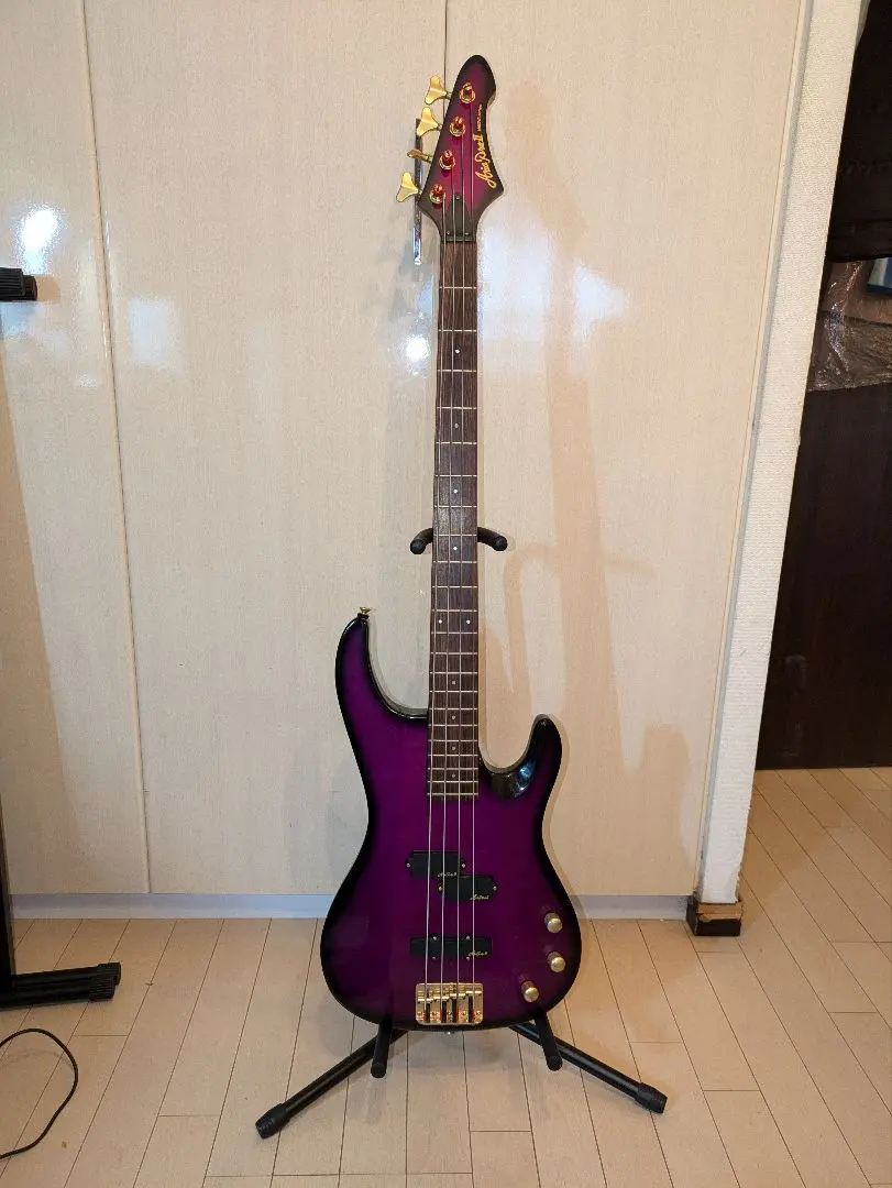 2025年最新】aria pro 2 magna series ベースの人気アイテム