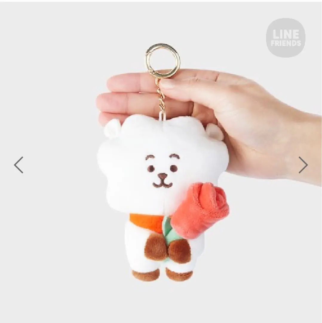 新品未開封　BTS BT21 SPRING DAYS ボムナル ぬいぐるみ RJ 新品未開封 BTS BT21 SPRING DAYS ボムナル ぬいぐるみ RJ