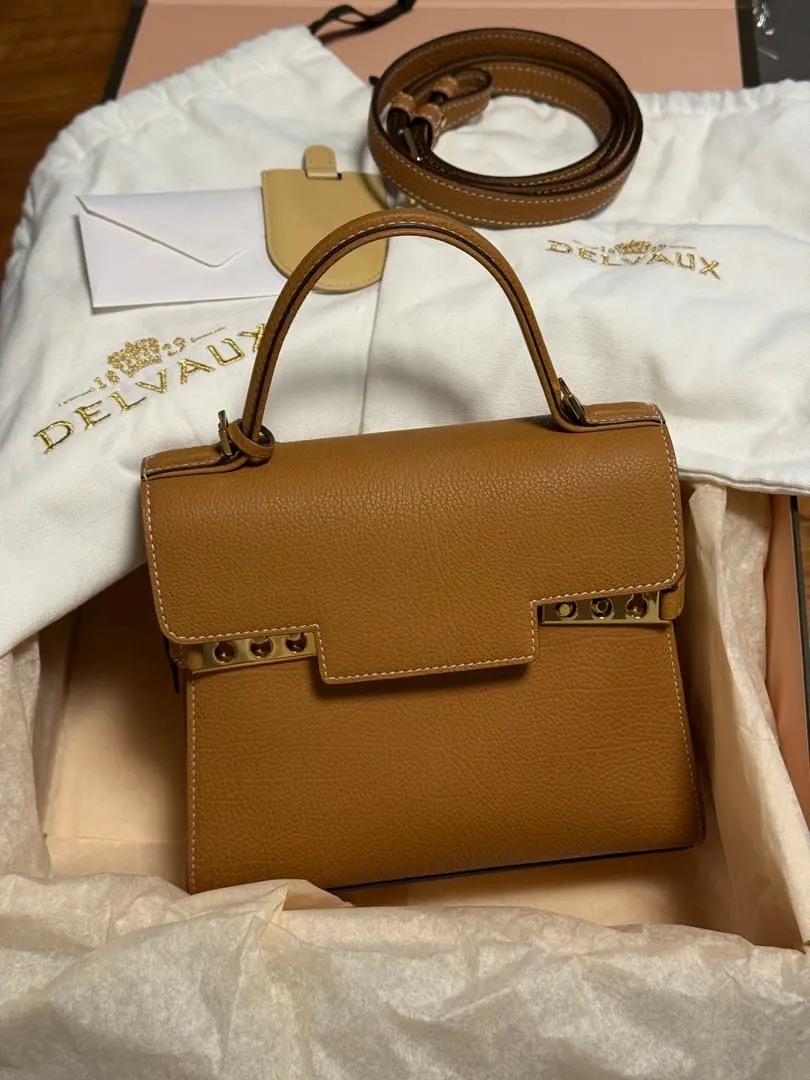 2025年最新】delvaux タンペート pmの人気アイテム - メルカリ