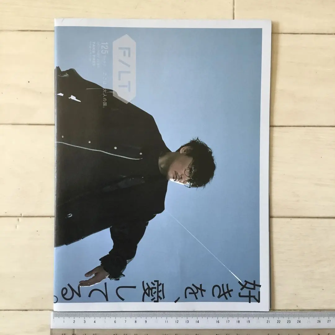 idee 【定番品】山口一郎 「Mountain」絵 ポスター