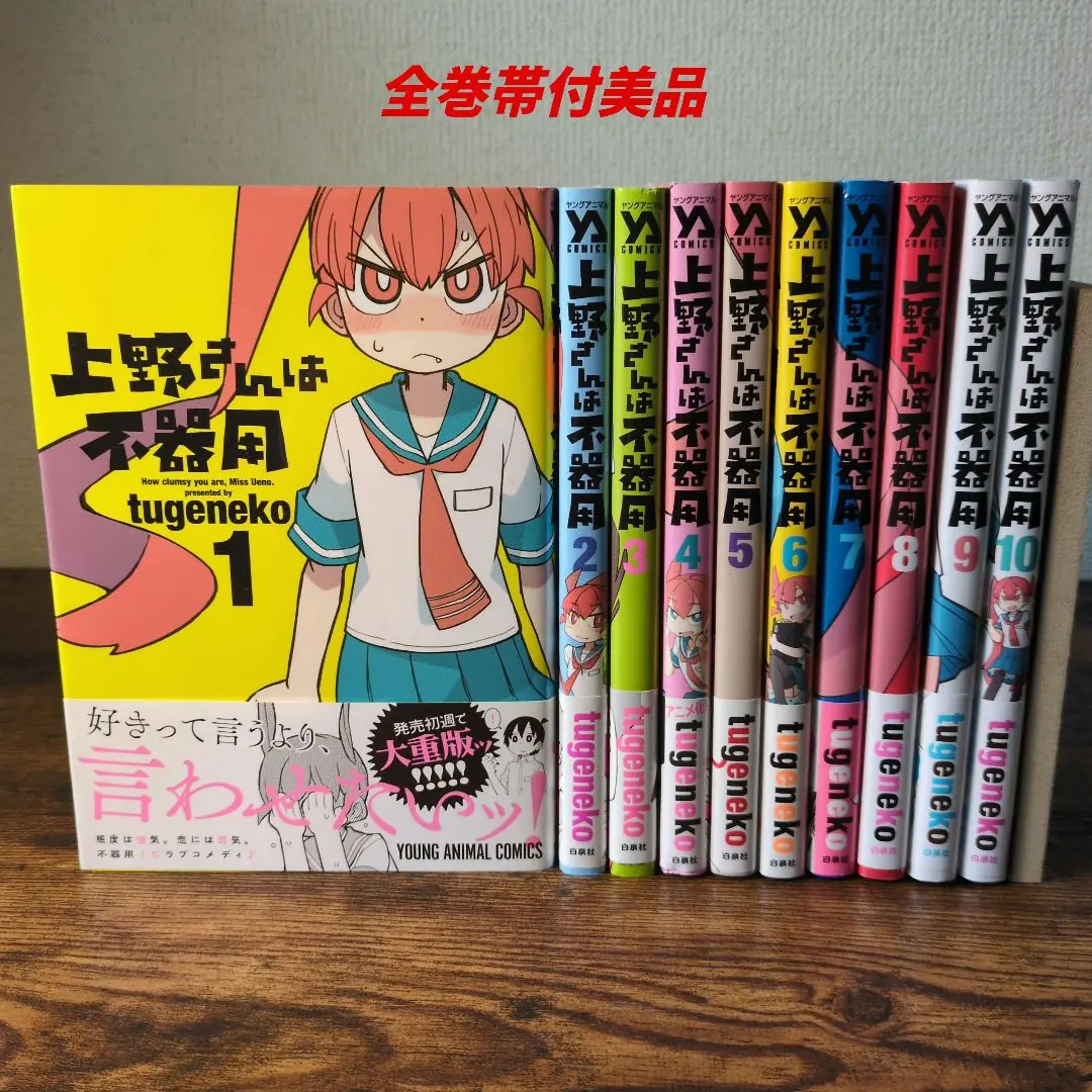 全巻セット【中古】DVD▼上野さんは不器用(3枚セット)第1話～第12話 最終 レンタル落ち 2025年最新】上野さんは不器用 全巻の人気アイテム - メルカリ