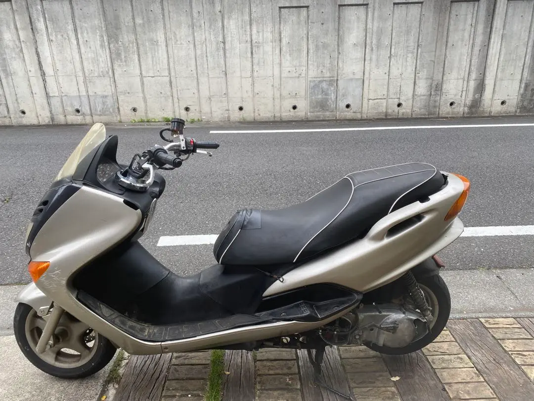 マジェスティC デビル菅 マジェスティC デビルマスク – プロジェクト・ケイ
